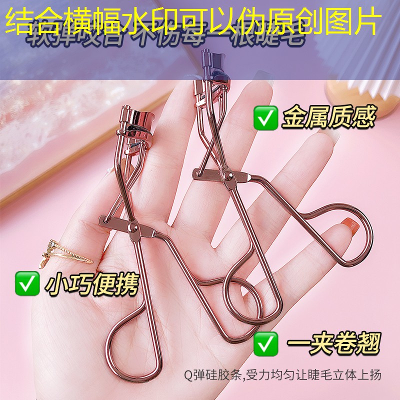海宁硖许公路两侧绿化工程